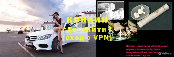 тгк Вяземский