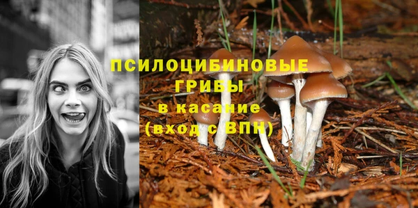 каннабис Вязьма