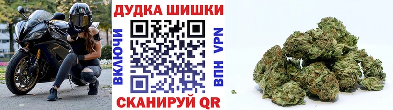 Купить  Киржач  Каннабис индика 